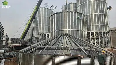 The 10 Key Details for Cleaning Flat-Bottomed Steel Silos