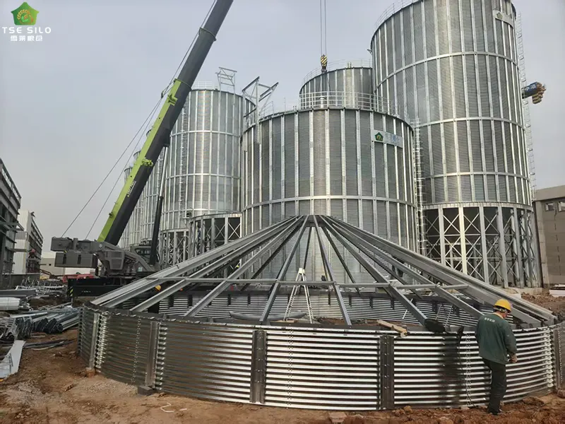 Cleaning Cycle of Flat-Bottomed Steel Silos