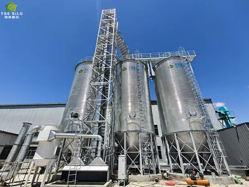 Dust Accumulation Thickness Control in Flat-Bottomed Steel Silos