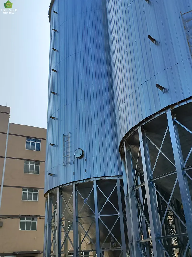 High-Pressure Flushing Pressure Standards for Flat-Bottomed Steel Silos