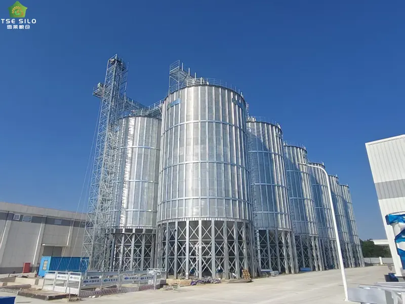 Large Grain Steel Silos in Operation Large Grain Steel Silos in Operation