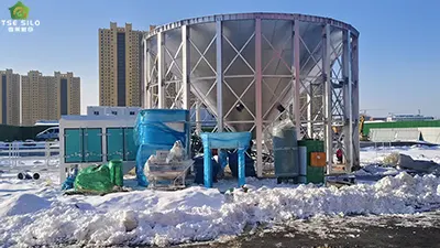 The 6 Major Prevention Strategies for Preventing Condensation and Mold Growth in Steel Grain Silos