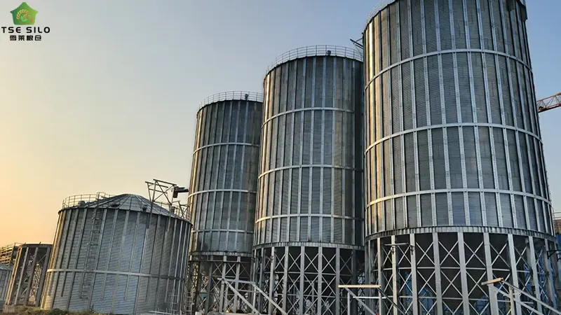 Steel Silos vs Concrete Silos: 7 Key Performance Indicators