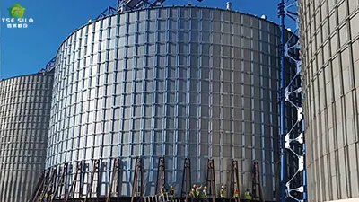 Spiral Steel Silos and Bolted Steel Silos: 7 Main Differences and Selection Methods