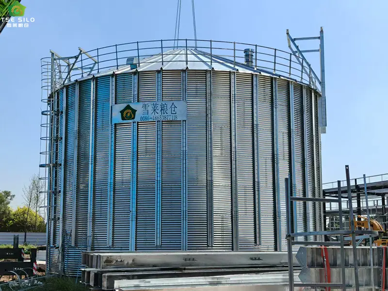 Construction of High-Quality Conical-Bottomed Steel Silos