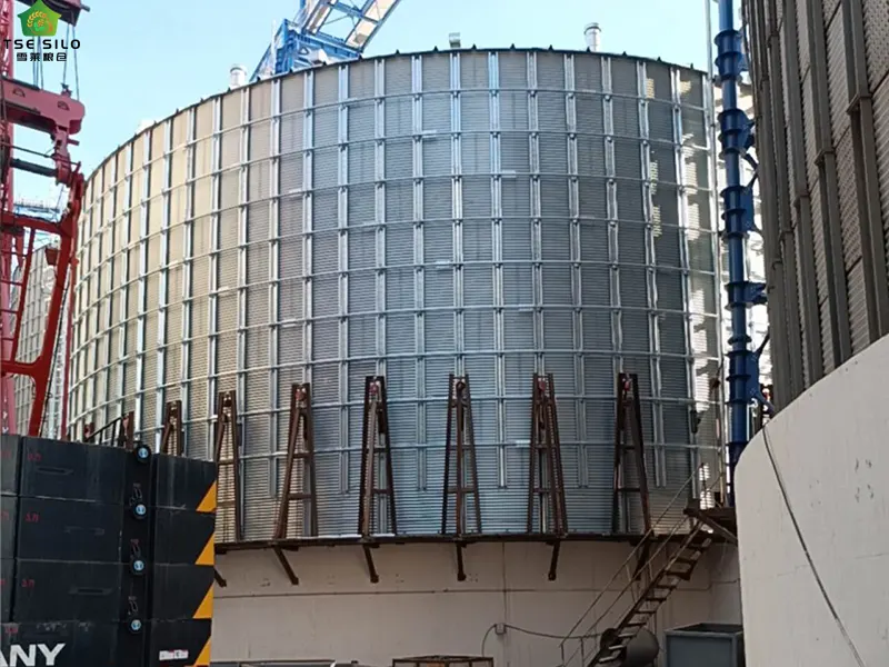 Construction of Large Flat-Bottomed Steel Silos Construction of Large Flat-Bottomed Steel Silos