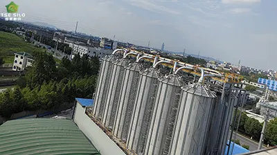 How Galvanized Steel Grain Silos Protect Your Harvest from Moisture and Pests