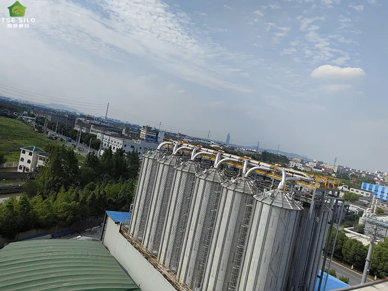How Zinc Coating Protects Steel Silos from Rust and Corrosion