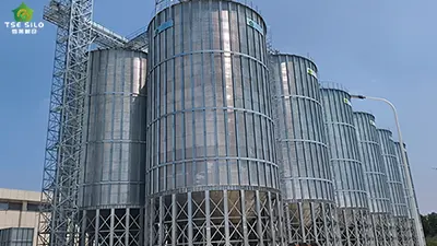 Shandong Digital Grain Warehousing and Logistics: 12–2,000-Ton Steel Silo Project