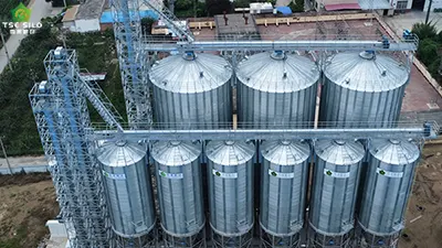 Project Introduction: Hebei Feed Factory – 3 × 1,200T Corn Silos and 6 × 200T Soybean Meal Silos
