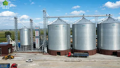 Inner Mongolia Jiafeng Construction 1-300T, 2-1000T Project Case