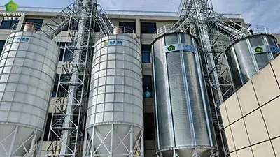 Grain Steel Silo Project in Guangxi: Two 185-cubic-meter rice silos and two 168-cubic-meter flour silos